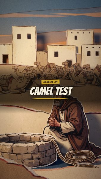 The Camel Test